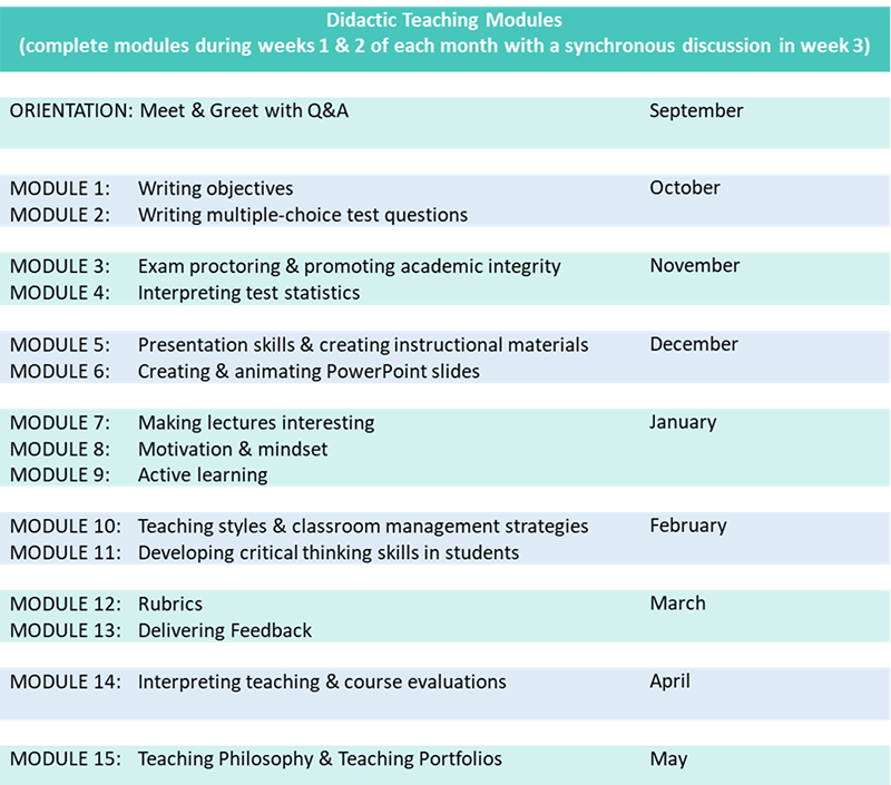 Foundations for Didactic Teaching